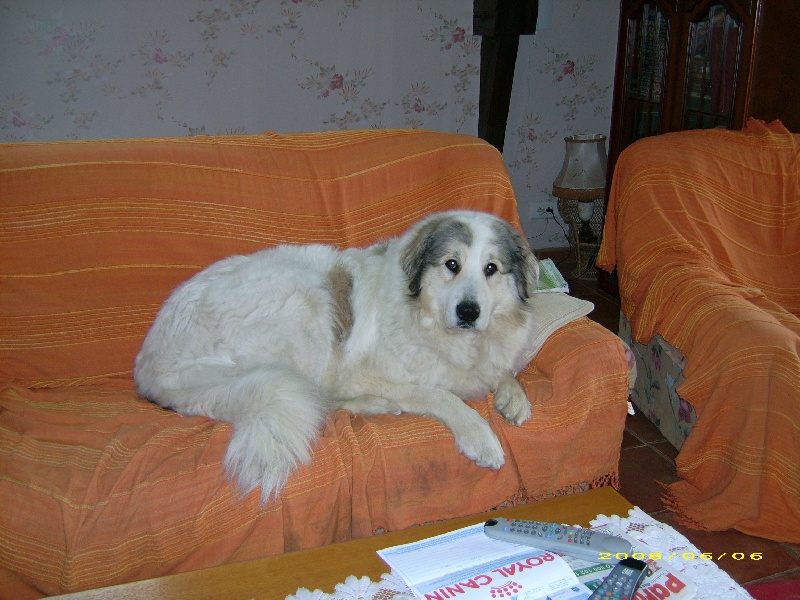 Publication : De la vallée du rioumajou