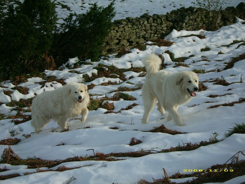 Publication : De la vallée du rioumajou