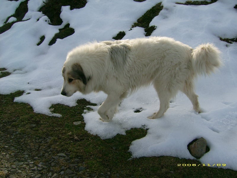 Publication : De la vallée du rioumajou