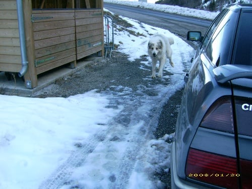 Publication : De la vallée du rioumajou
