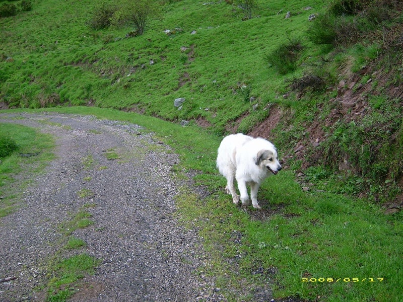 Publication : De la vallée du rioumajou