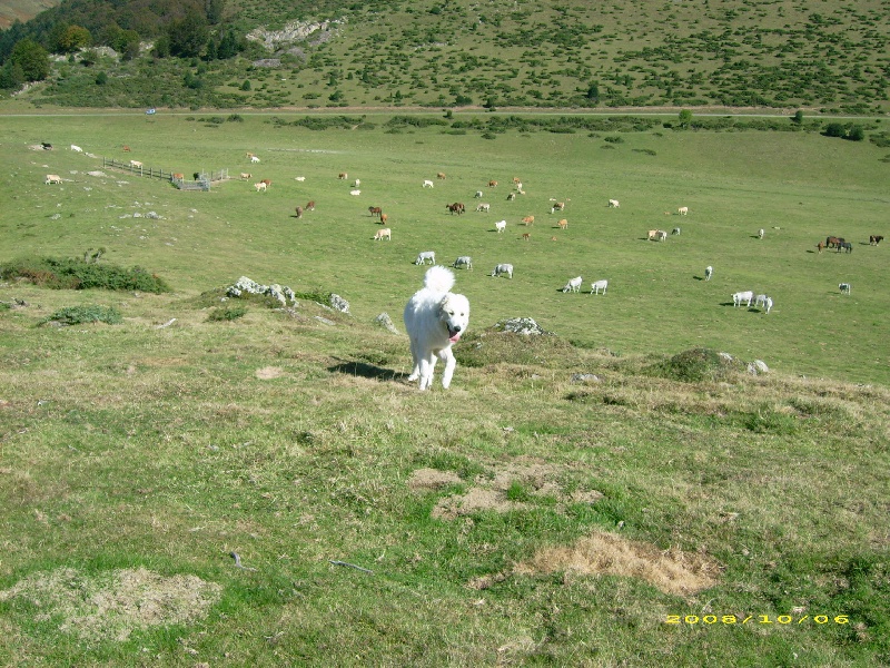 Publication : De la vallée du rioumajou