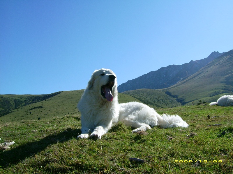 Publication : De la vallée du rioumajou