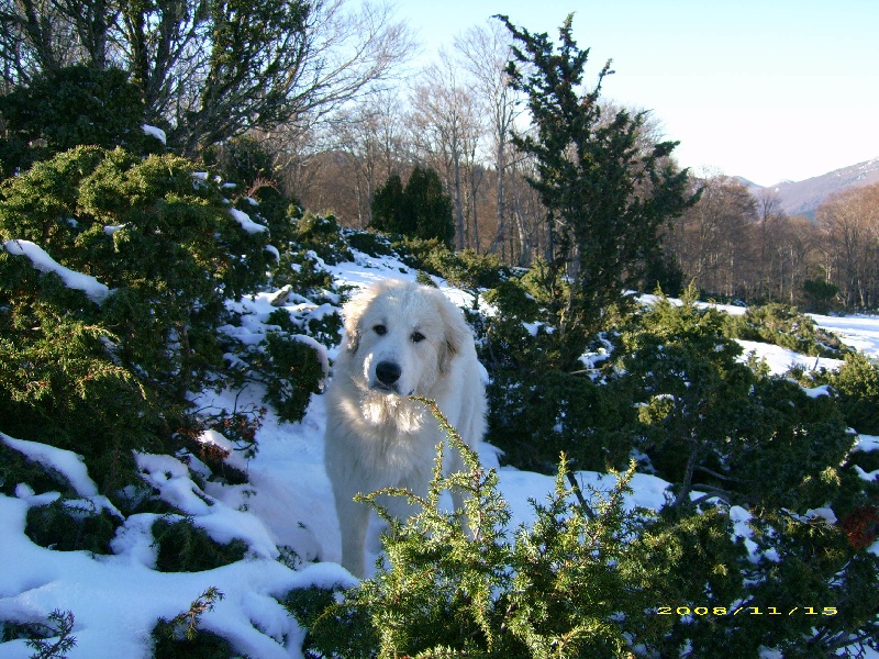 Publication : De la vallée du rioumajou