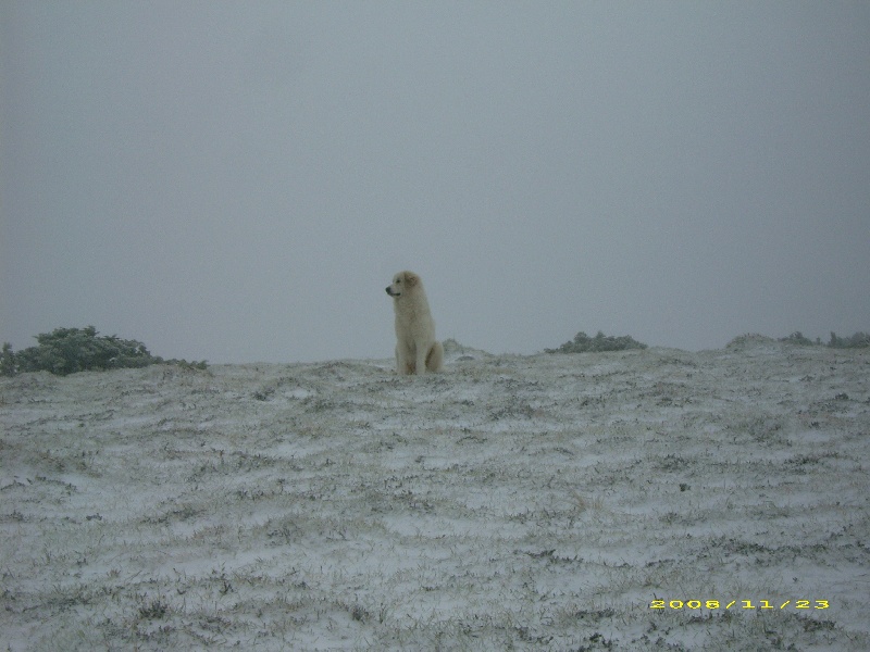 Publication : De la vallée du rioumajou