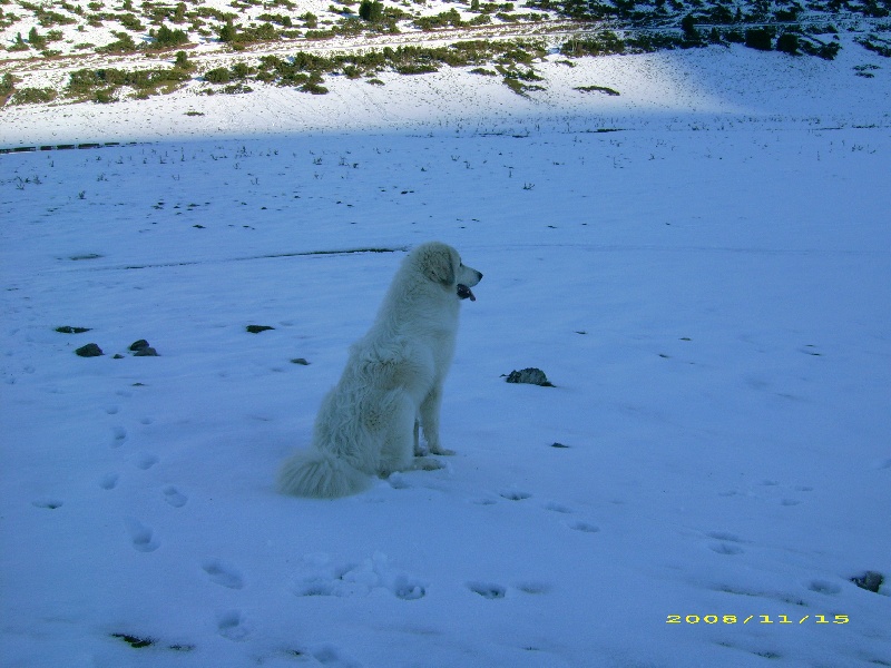 Publication : De la vallée du rioumajou