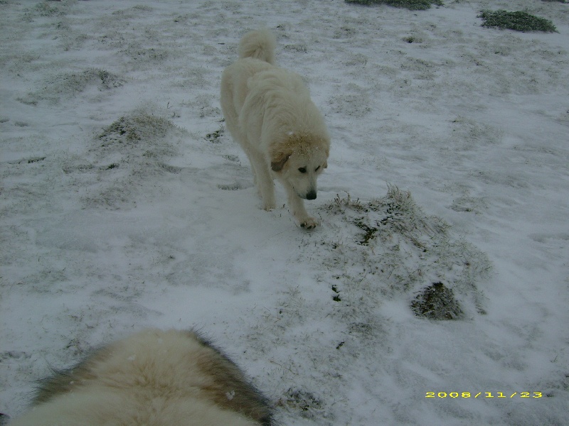 Publication : De la vallée du rioumajou