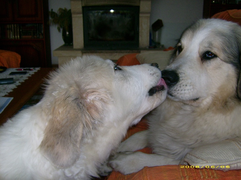 Publication : De la vallée du rioumajou