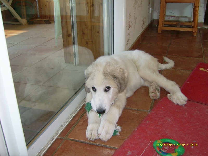 Publication : De la vallée du rioumajou