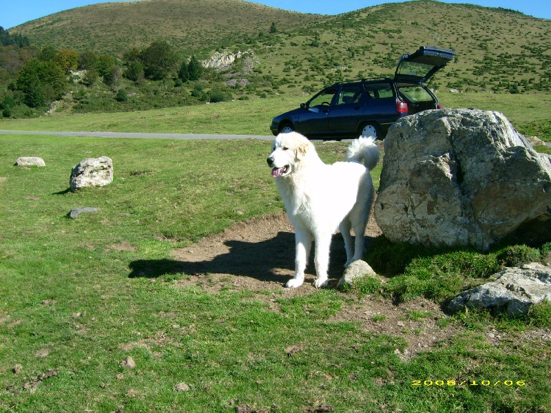 Publication : De la vallée du rioumajou
