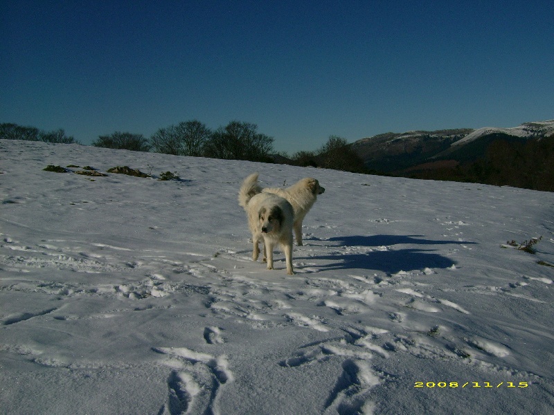 Publication : De la vallée du rioumajou