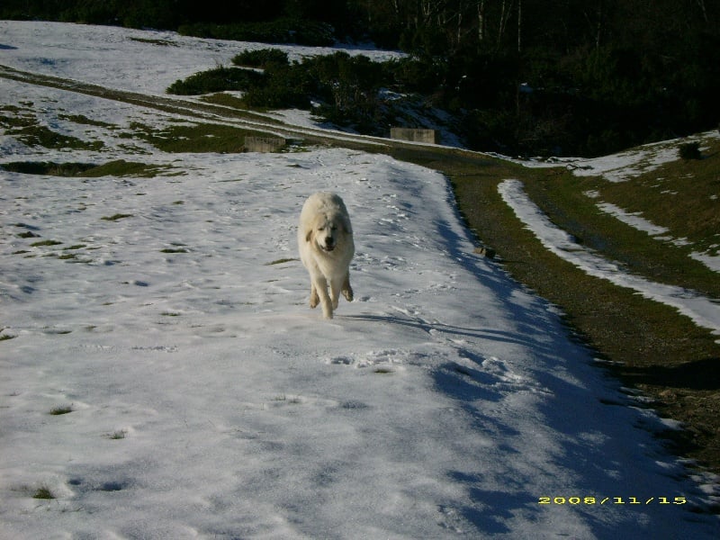 Publication : De la vallée du rioumajou
