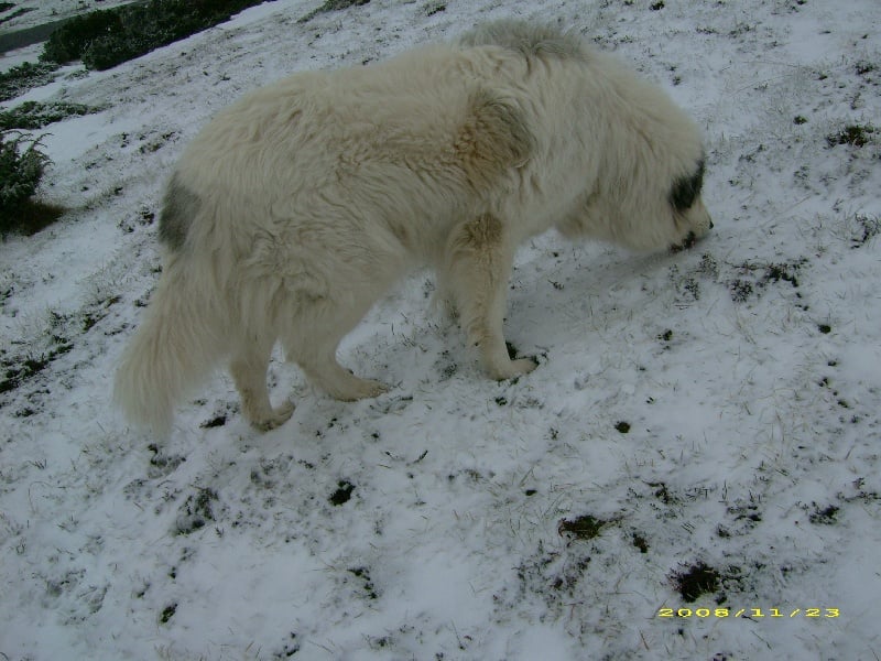 Publication : De la vallée du rioumajou