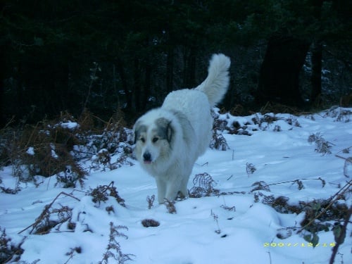 Publication : De la vallée du rioumajou