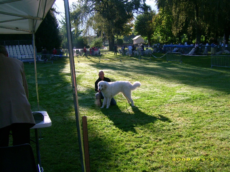 Publication : De la vallée du rioumajou