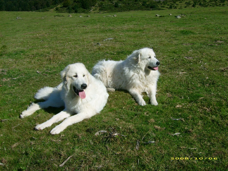 Publication : De la vallée du rioumajou