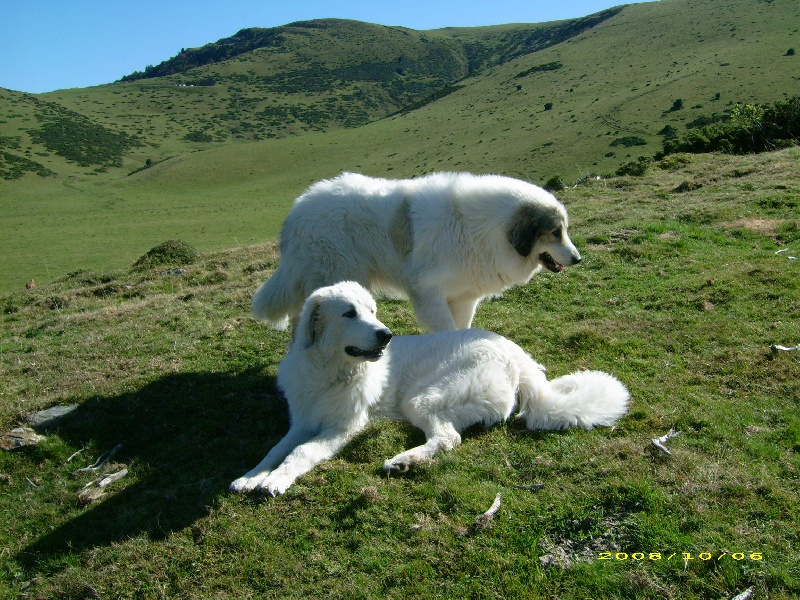 Publication : De la vallée du rioumajou
