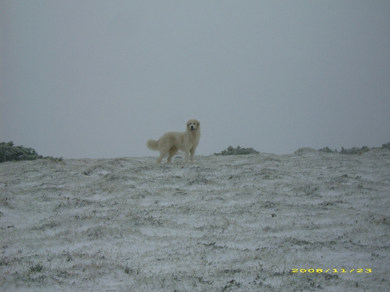 Publication : De la vallée du rioumajou