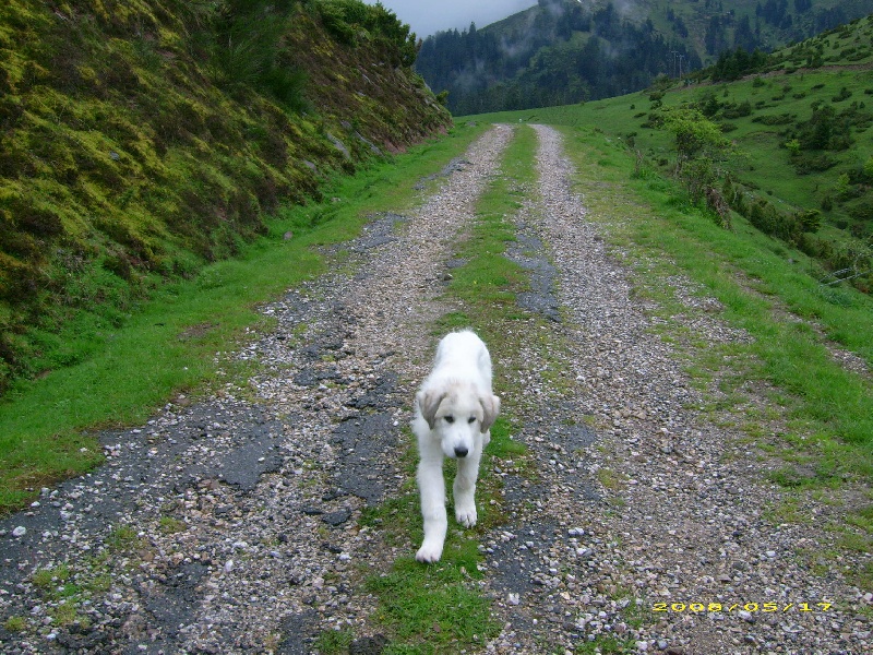 Publication : De la vallée du rioumajou