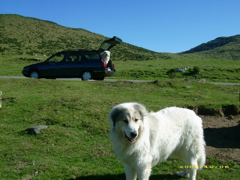 Publication : De la vallée du rioumajou