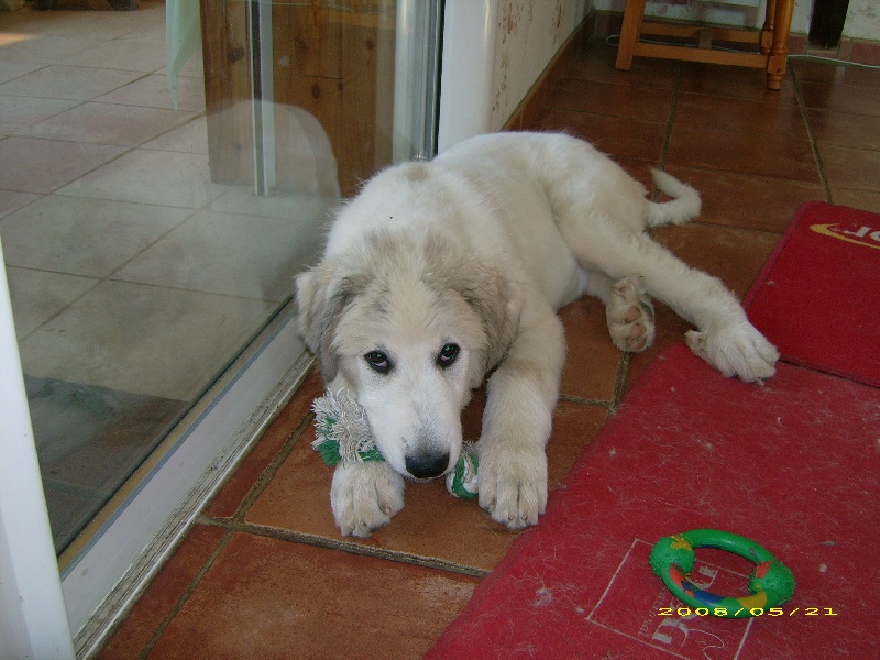 Publication : De la vallée du rioumajou