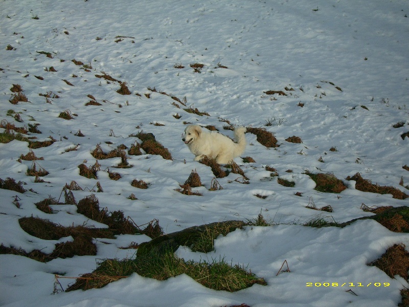 Publication : De la vallée du rioumajou