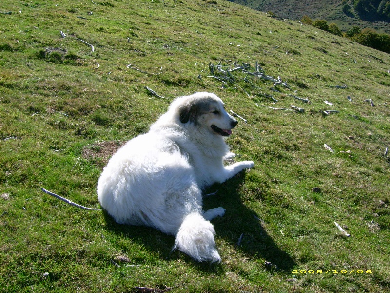 Publication : De la vallée du rioumajou