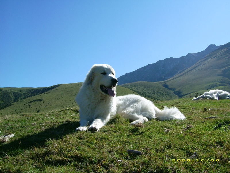 Publication : De la vallée du rioumajou