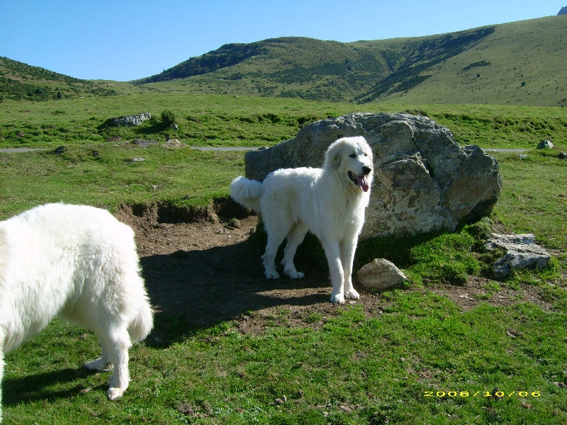 Publication : De la vallée du rioumajou