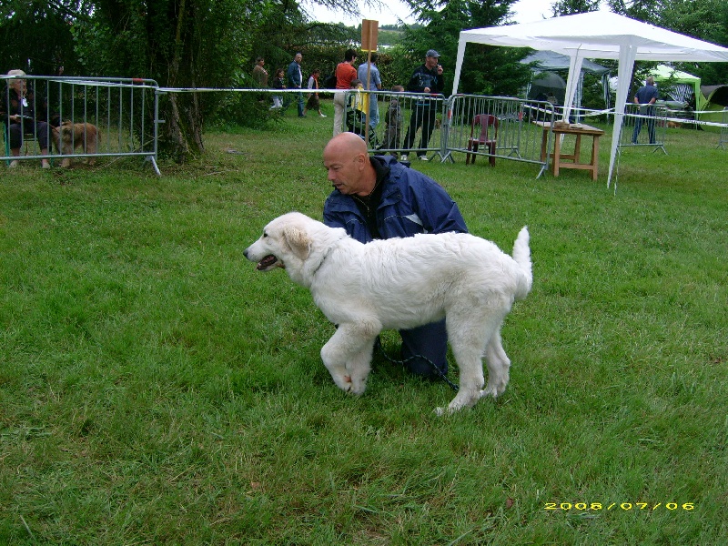 Douzous Du neouvielle - TRES PROMETEUR