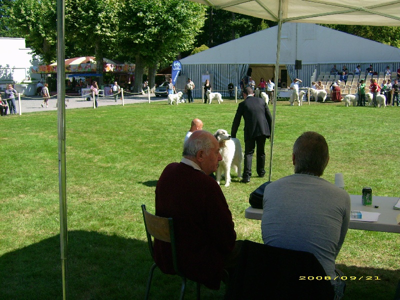 Ulciane du pic du viscos - Excellent