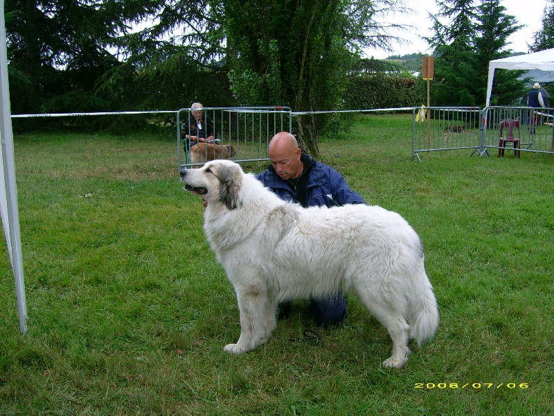 Ulciane du pic du viscos - CACS