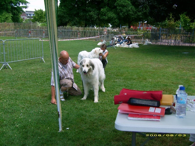 Ulciane du pic du viscos - RCACS- RCACIB