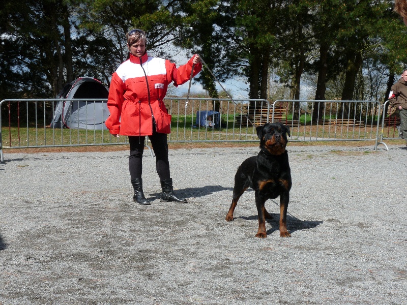 Publication : De chatoisillon Auteur : Stéph&Philippe