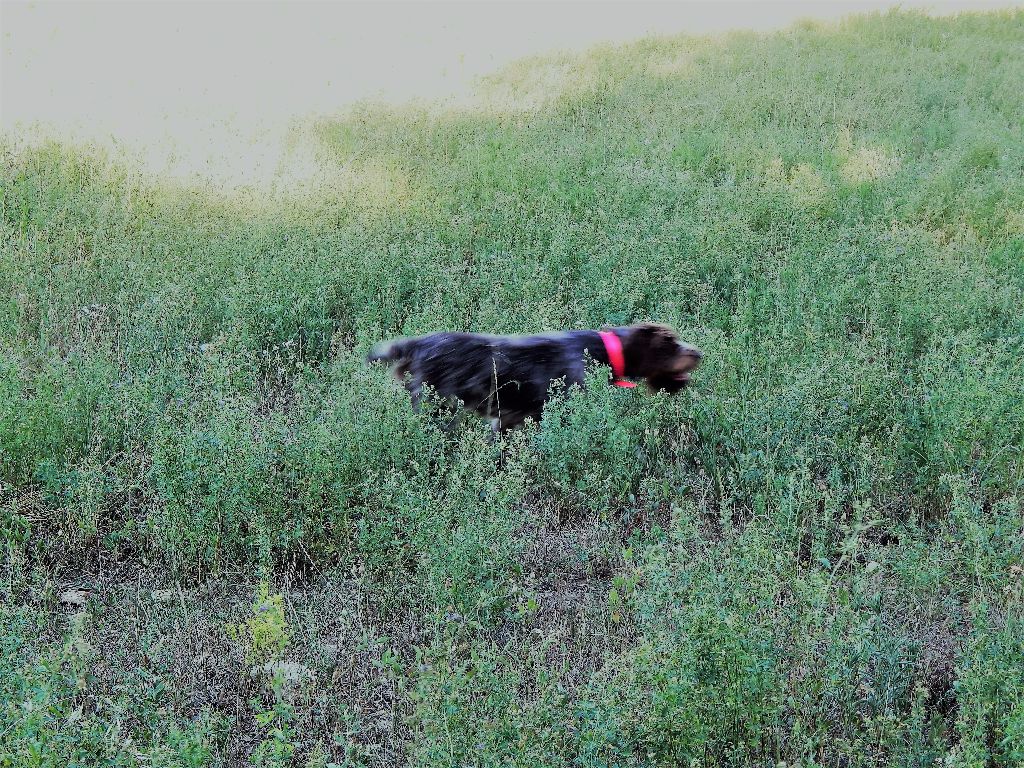 Publication : du Mas du Jonquier Auteur : M.ETENI