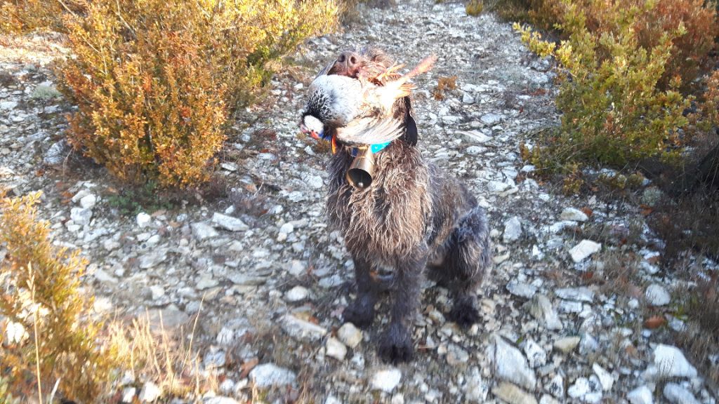 Publication : du Mas du Jonquier Auteur : M.ETENI