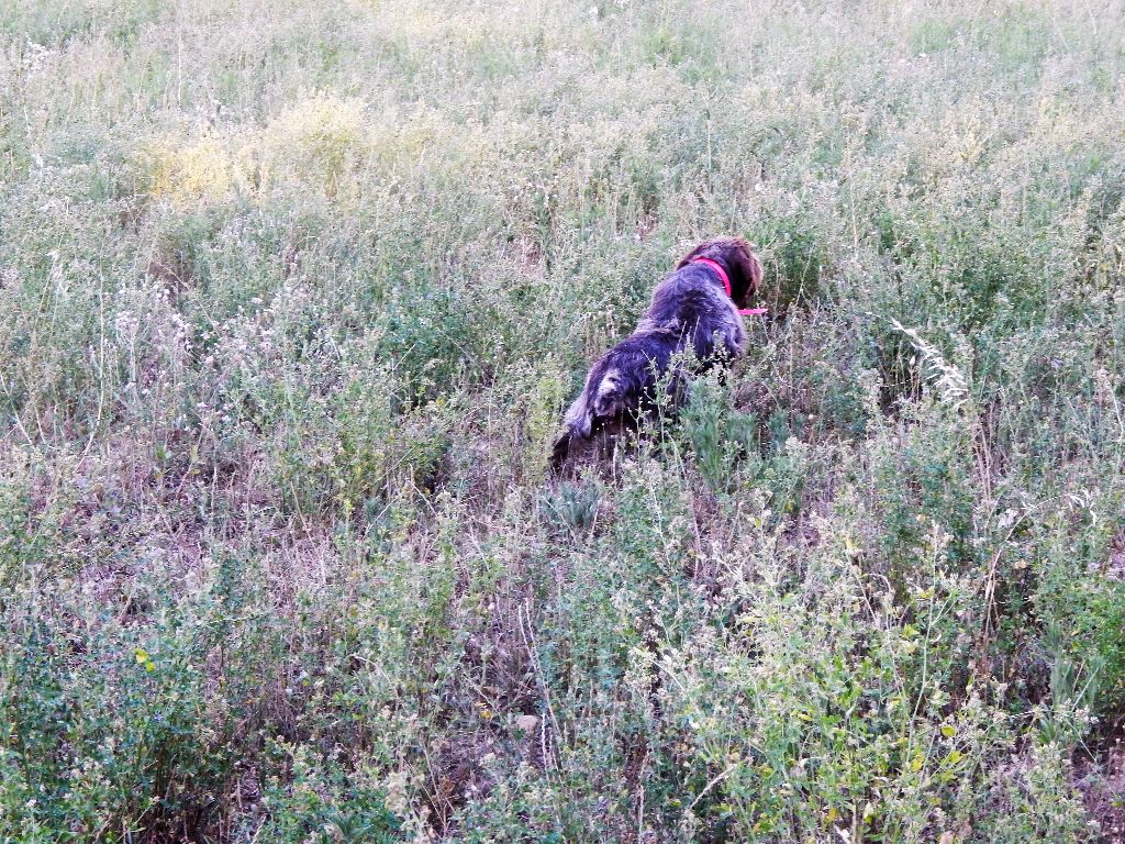 Publication : du Mas du Jonquier Auteur : M.ETENI