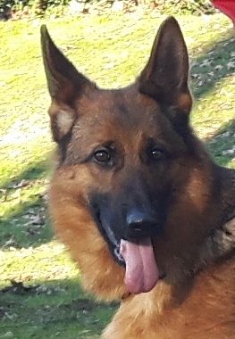 Publication : de L'Etang de Freville Auteur : Y.DONNAT