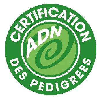 RÃ©sultat de recherche d'images pour "logo certification adn pedigree"