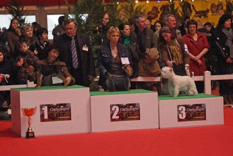 CH. Westibery's French cancan - 3ème jeune du groupe 3