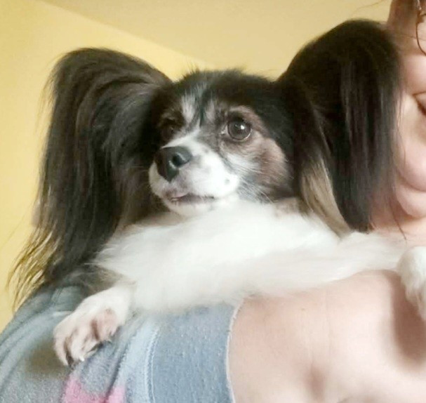 Publication : De la castelviroise Auteur : Ivana 19 Mois