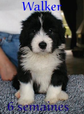 Publication : Dream From Highland's