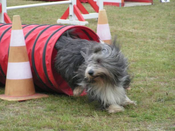 Publication : Dream From Highland's