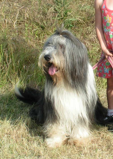 Publication : Dream From Highland's