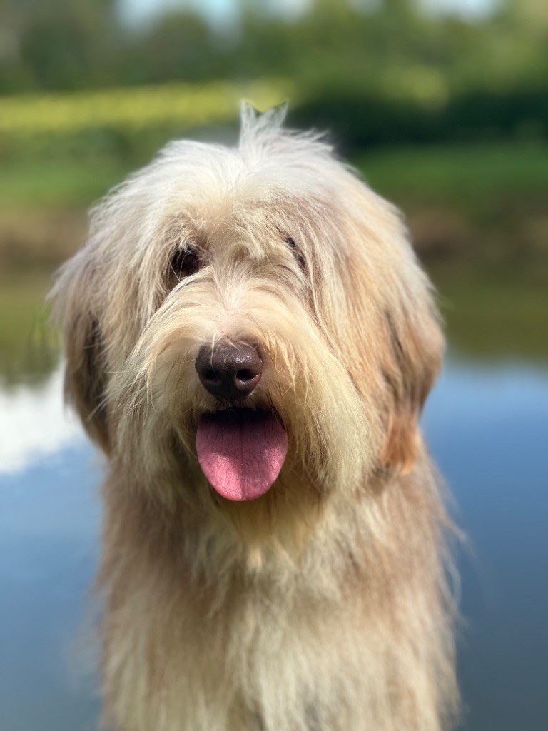 Publication : Dream From Highland's