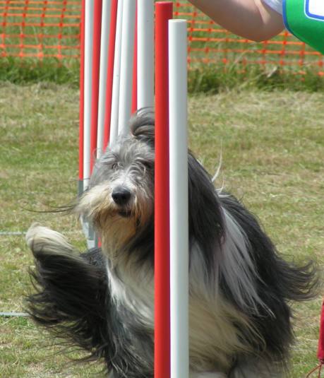 Publication : Dream From Highland's