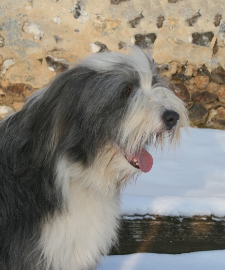 Publication : Dream From Highland's