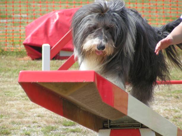 Publication : Dream From Highland's