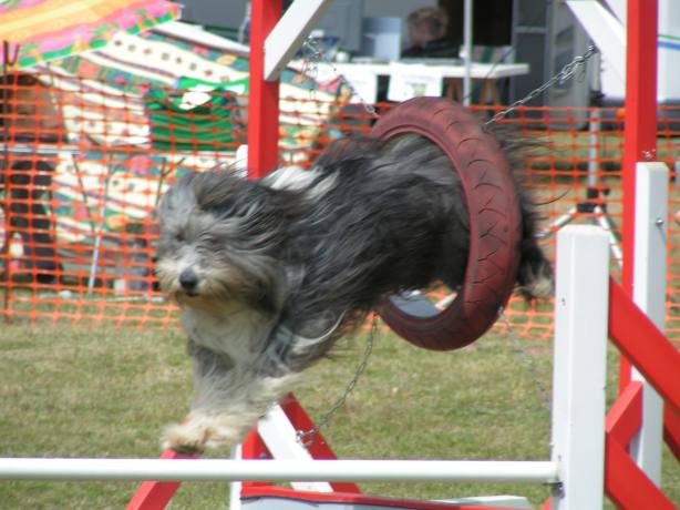 Publication : Dream From Highland's