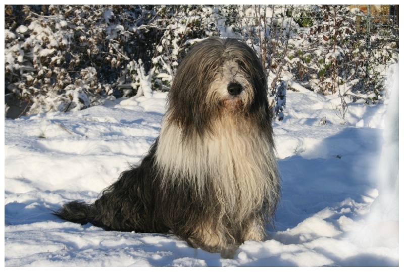 Publication : Dream From Highland's